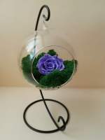 Стабилизированная цветочная композиция с синей розой в стеклянном шаре